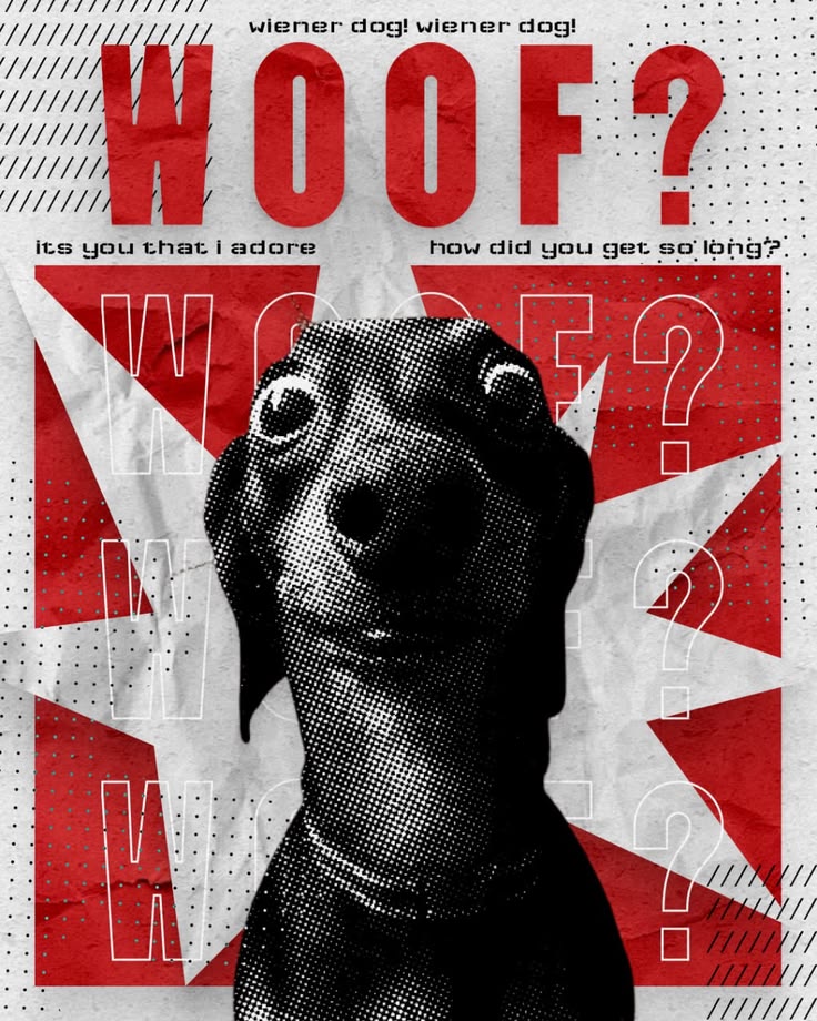 Wienny dog
