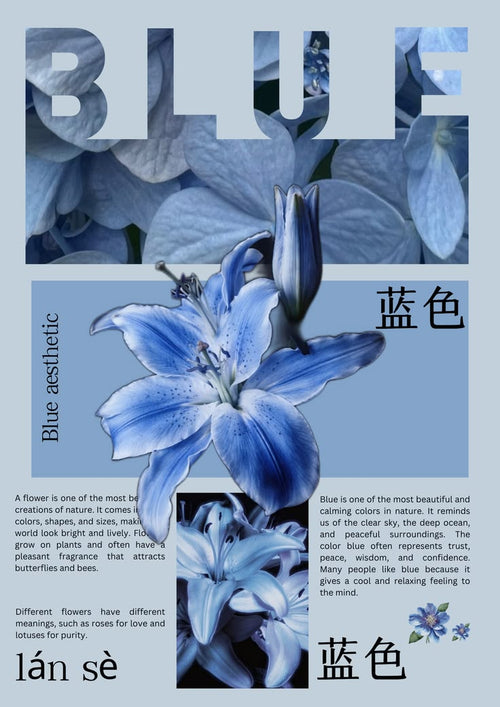 Bloom in Blue