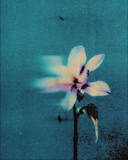 Blue haze
