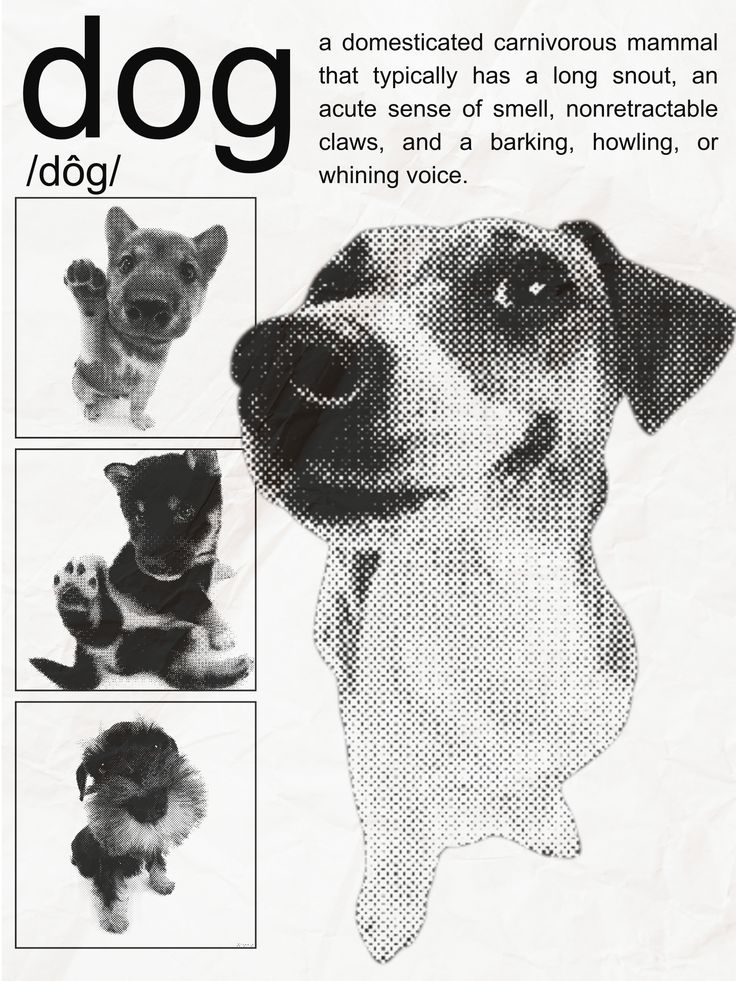 Dogg