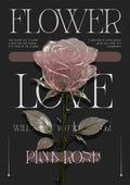 Pink rose